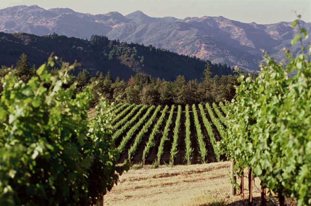 The 10 Best Napa Valley Wineries To Visit California Winery Advisor