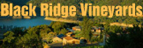 Black Ridge Vineyards