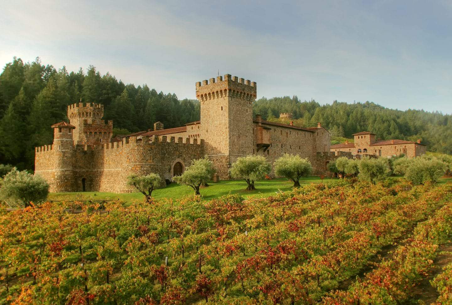 Castello di Amorosa - California Winery Advisor