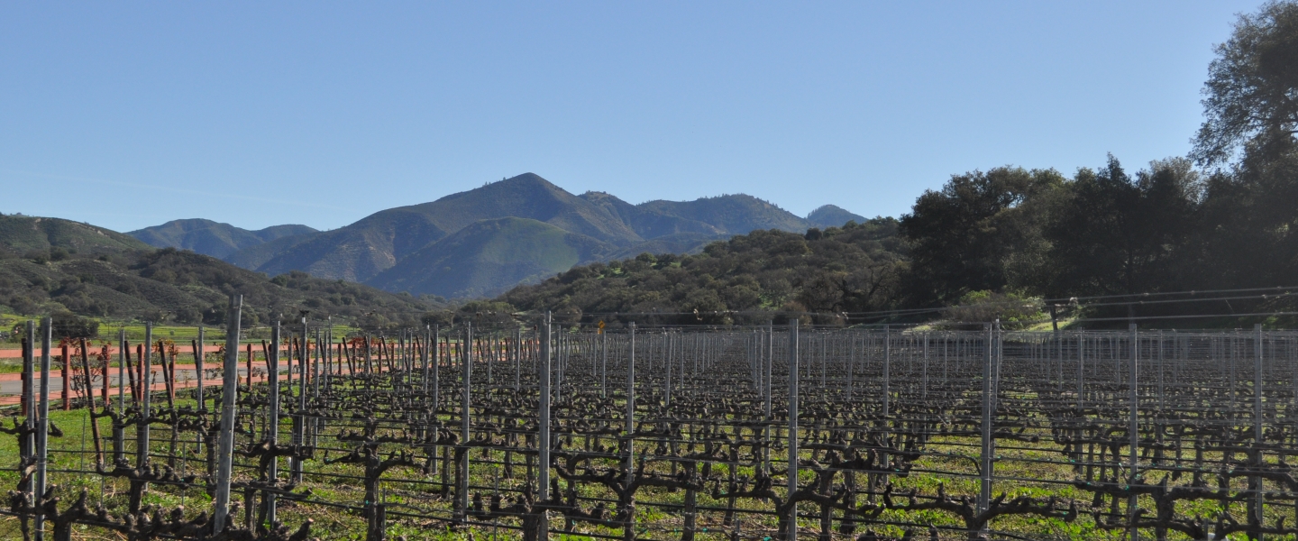 santa barbara wine country california