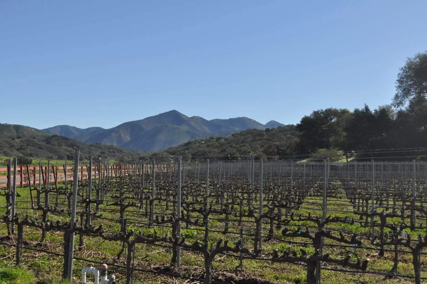 santa barbara wine country california
