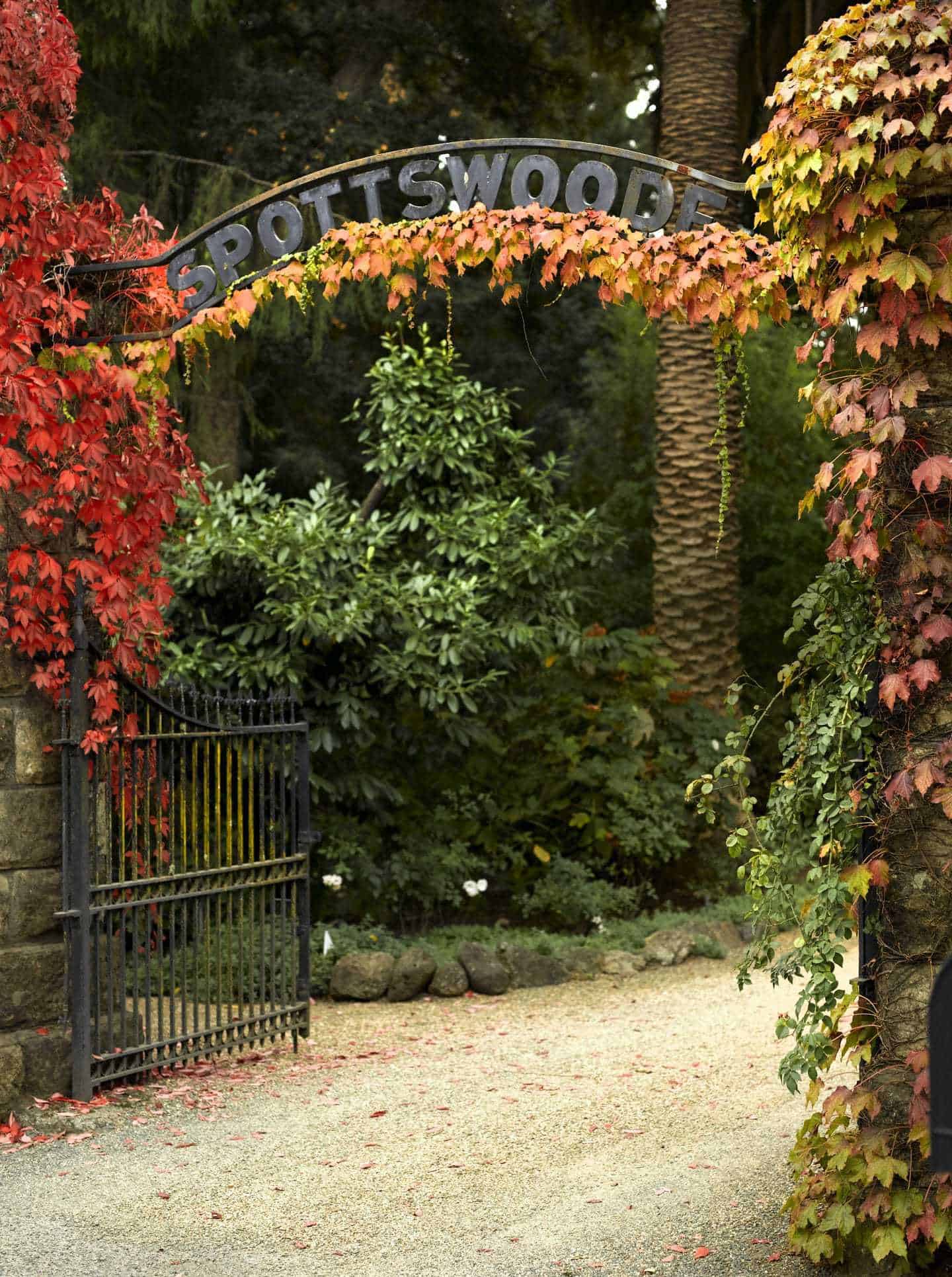 Spottswoode-Estate-Entrance-Fall