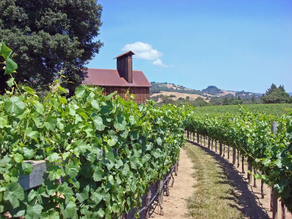 Sonoma California Winery