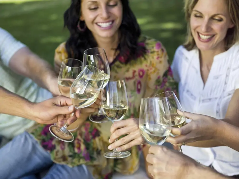 Wine tasting party ideas