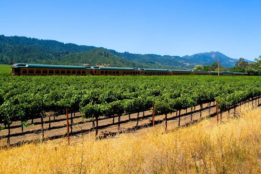 Napa Valley Wine Train and vineyards