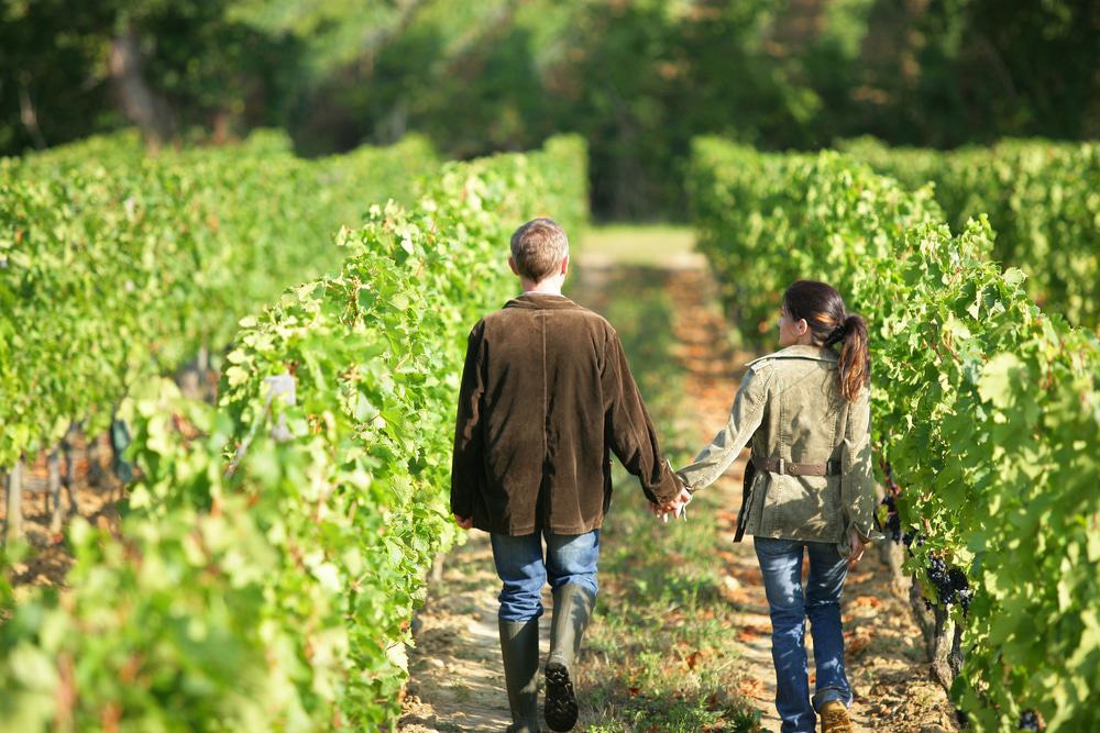 California Winery Wedding planning