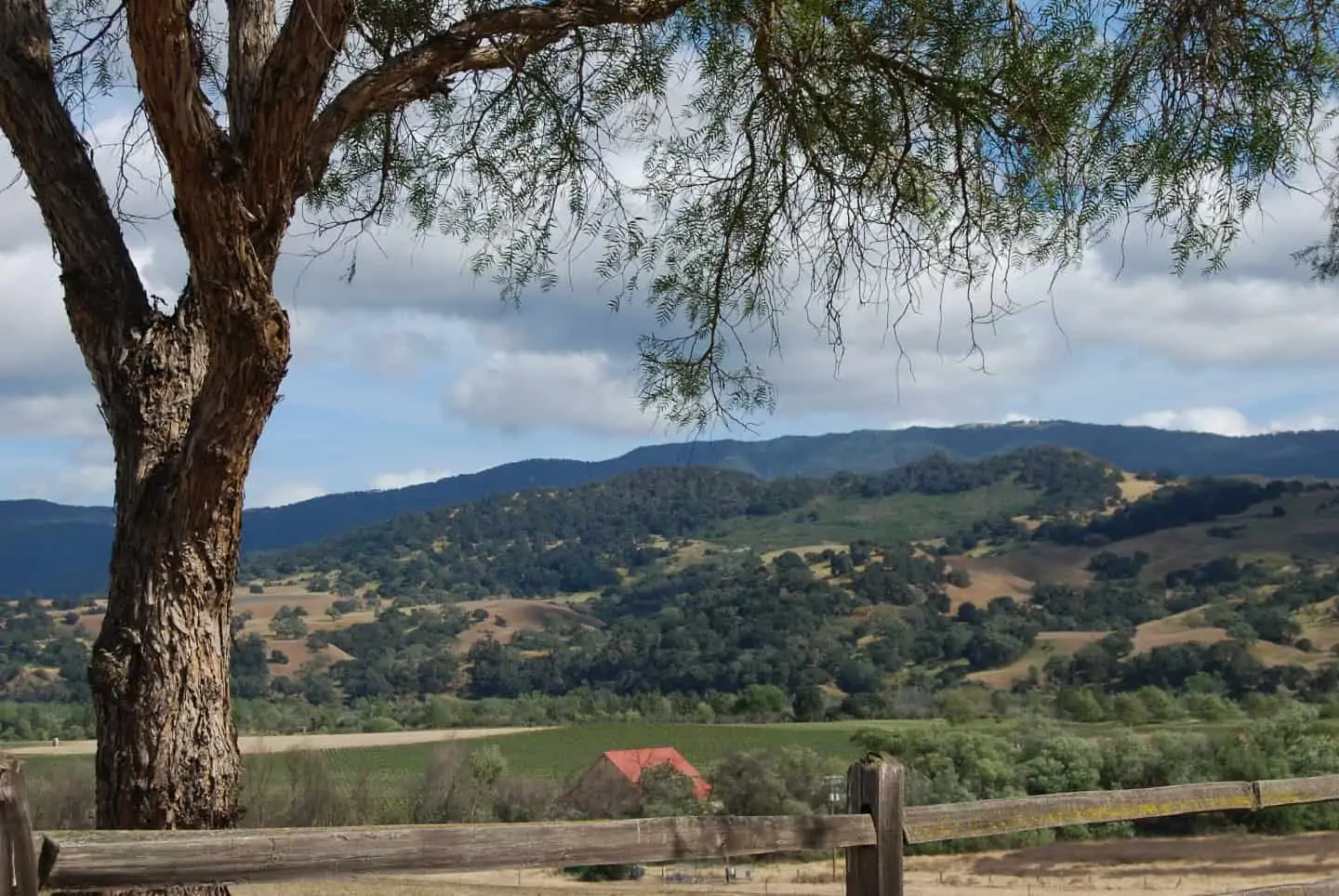 view of santa barbara wine country from mission