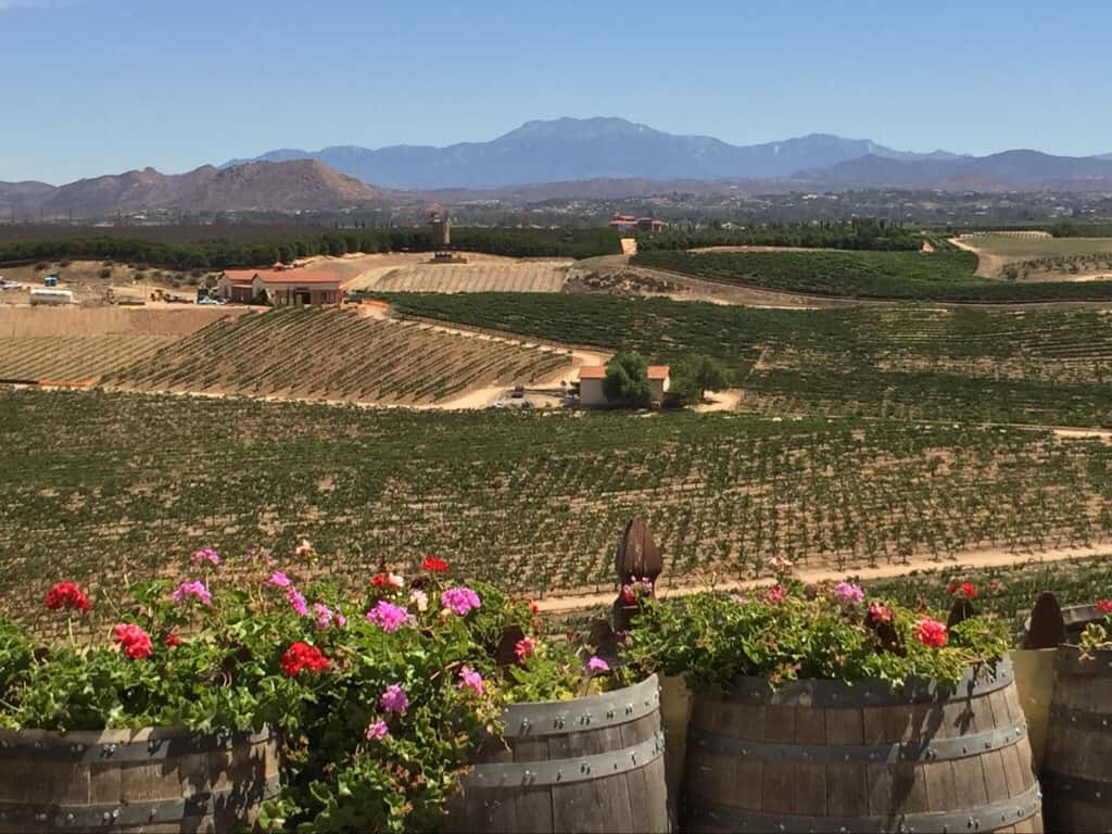 View of Temecula Wineries from Bella Vista