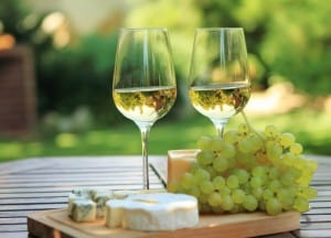 pairing wine tasting