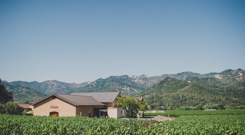 Madrigal+Vineyards-181_1 Madrigal+Vineyards-181_1