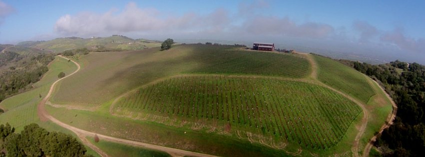 Vineyards Alta Colina Winery Paso Robles