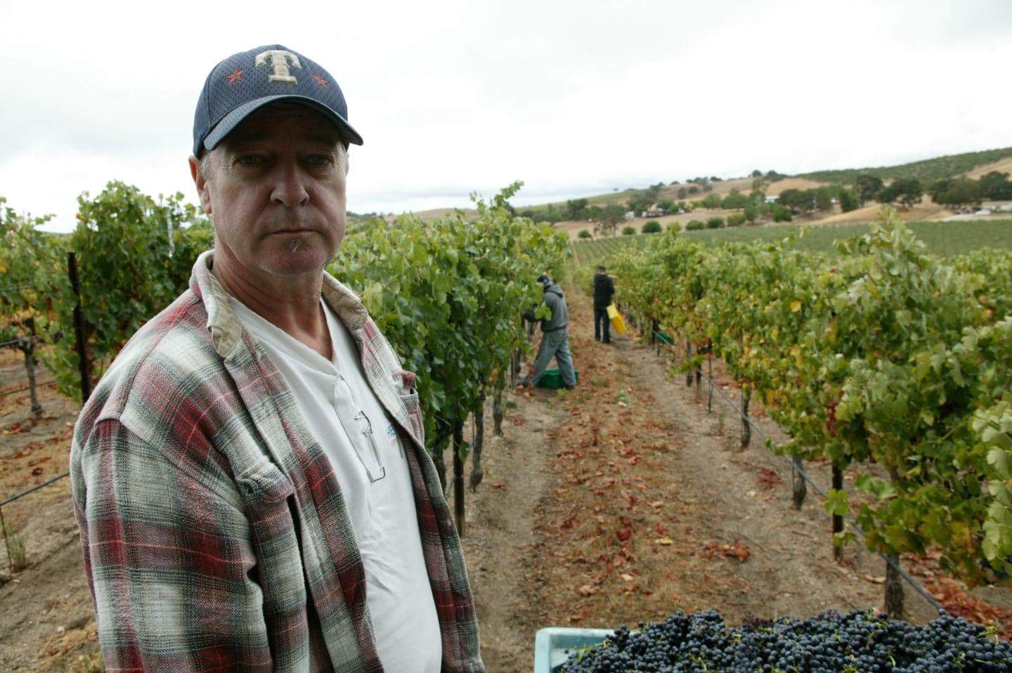 Doug Minnick interview 1 Doug Minnick Winemaker
