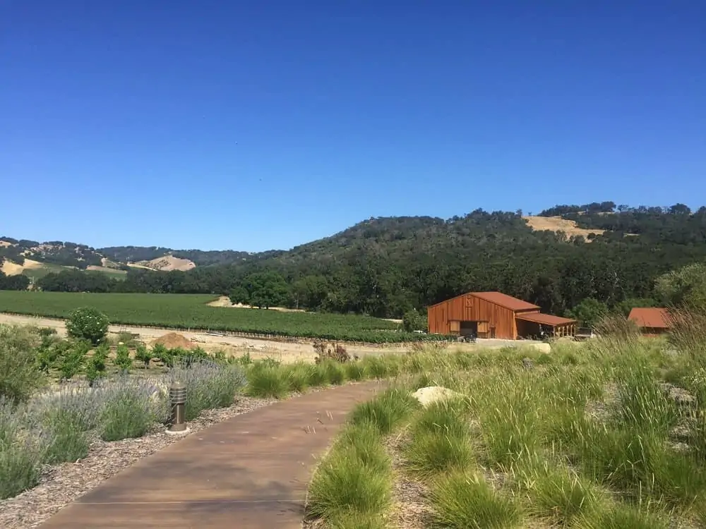 halter ranch winery