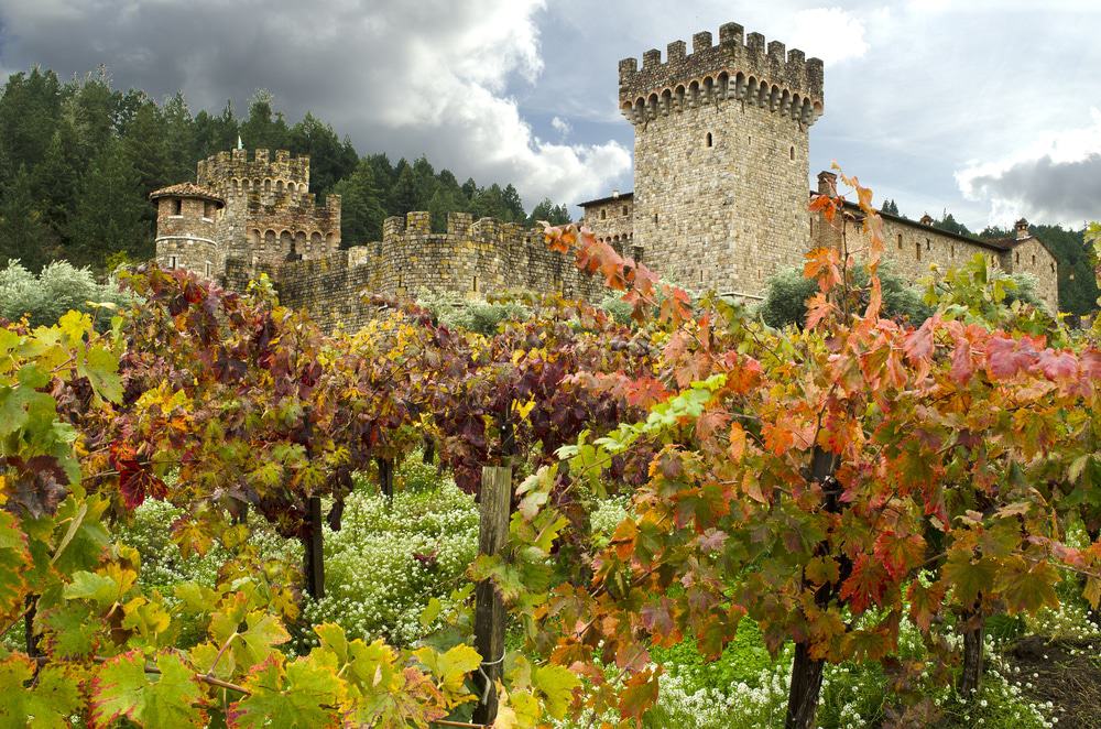 Castello di Amorosa Coupon - California Winery Advisor