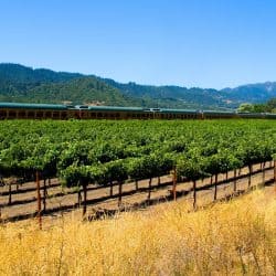 Napa Wine Train Discount