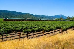 Napa Wine Train Discount