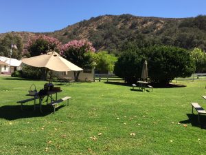 rancho sisquoc winery lawn