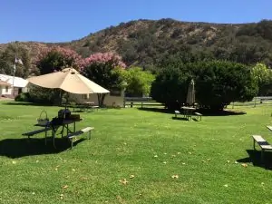 rancho sisquoc winery lawn
