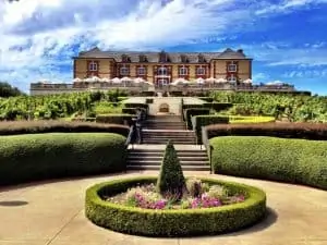 domaine carneros