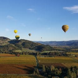 Hot air balloon napa