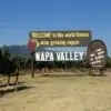 napa valley vegan wine tasting