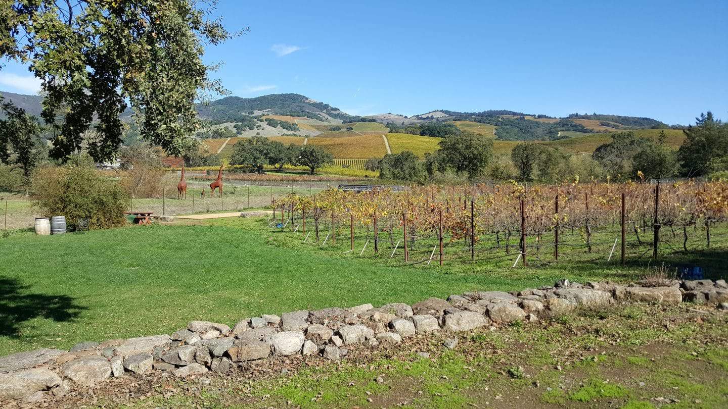 Deerfield Ranch Winery