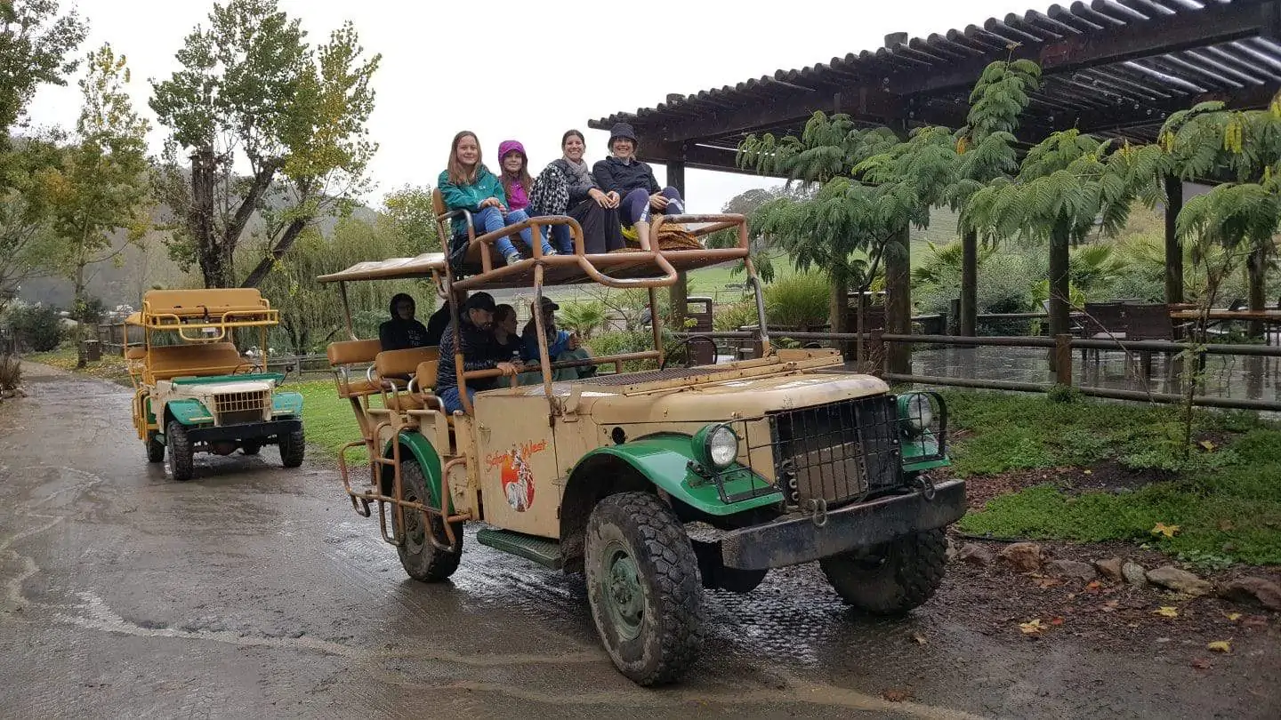 Safari West Jeep (1)