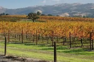 best livermore wineries