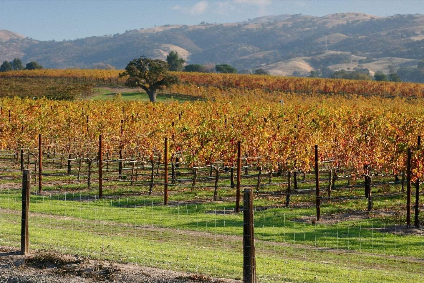 livermore wineries tour