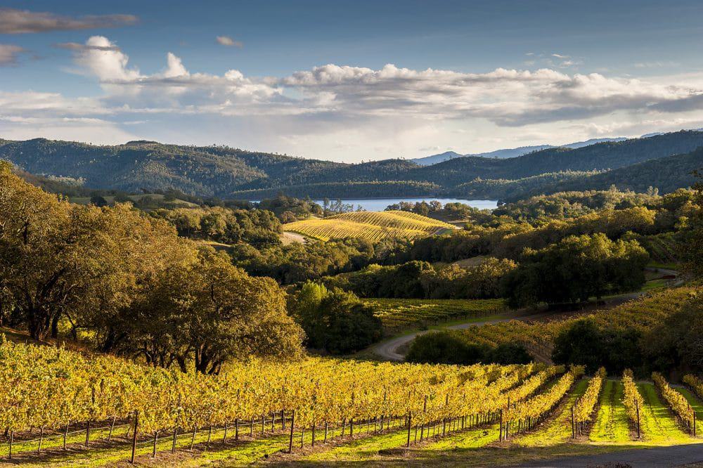 Wineries with free wine tasting Napa Valley Budget Wine Travel