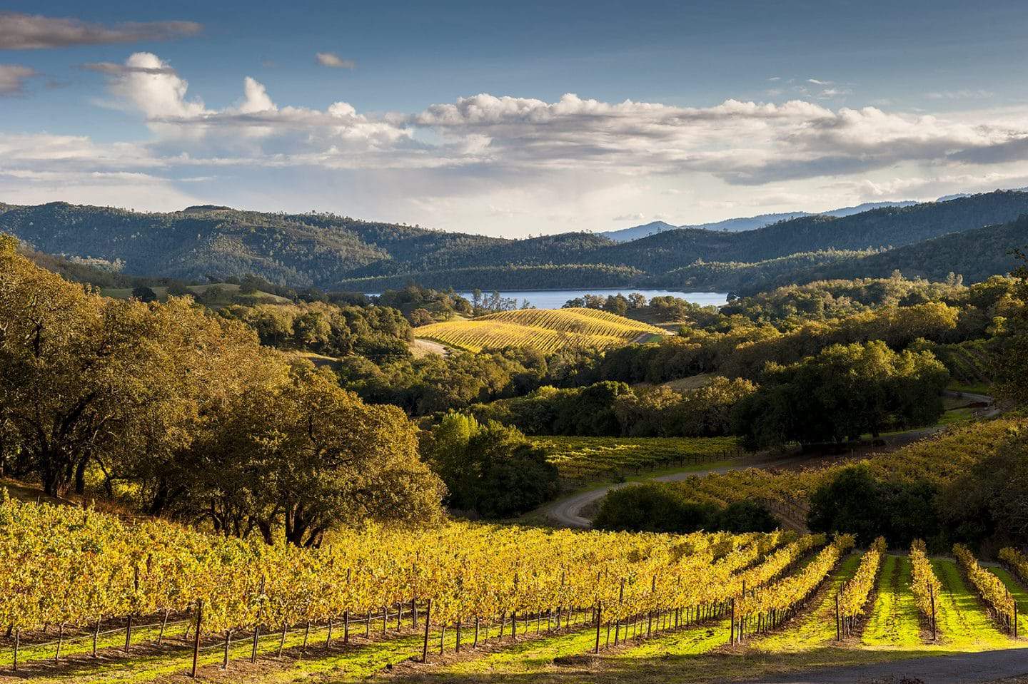 free vineyard tours napa valley