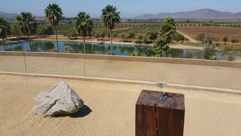 baja california wineries