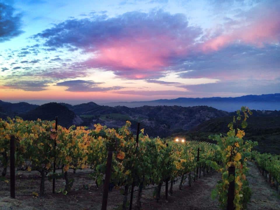 The 6 Best Calistoga Wineries For Visitors - California Winery Advisor