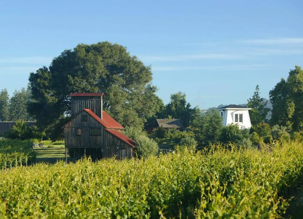 goldeneye winery Mendocino california