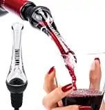 wine pourer gift for wine lover