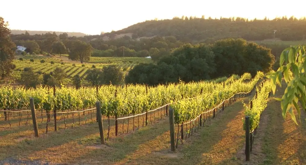 iron hub winery sierra foothills