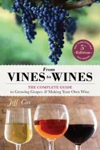 best wine books