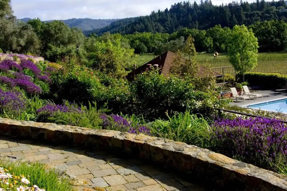Cheap Hotels In Napa Valley 