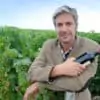 wine expert