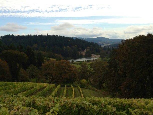 The 10 Best Willamette Valley Wineries To Visit In 2021