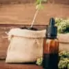 Buy Cannabis oil online