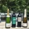 wine access wine club review