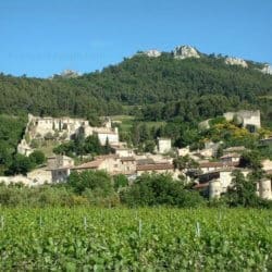 gigondas wine