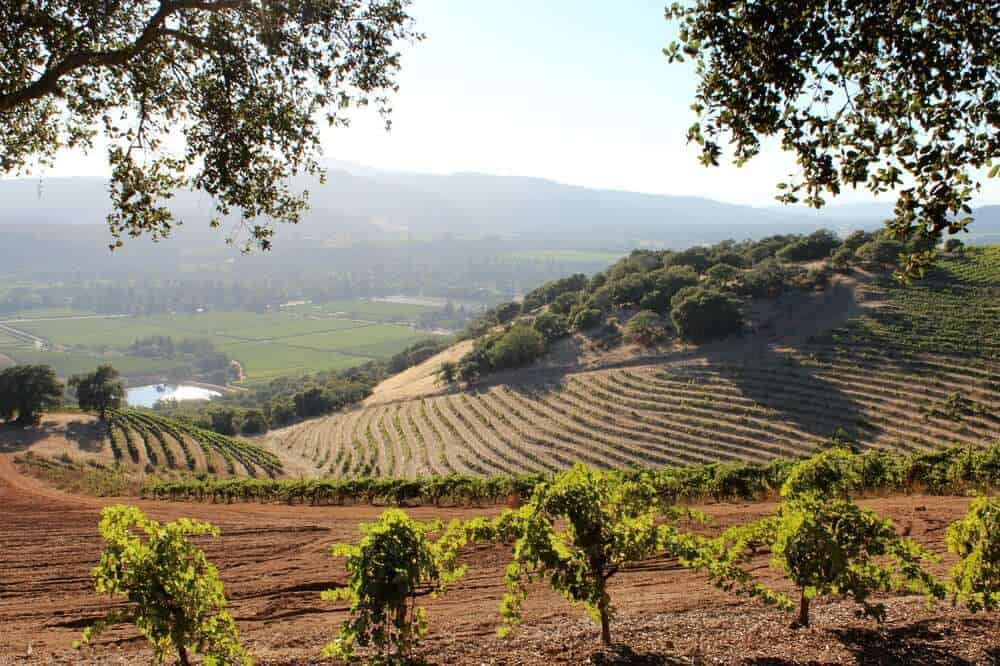 all inclusive wine tours napa valley