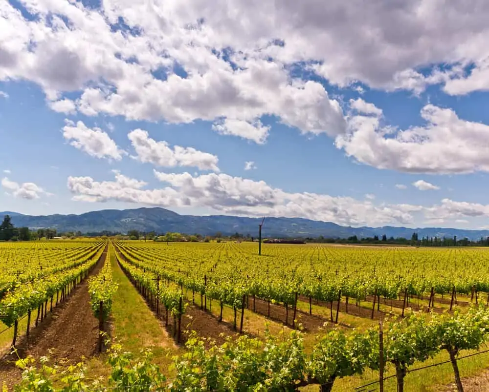 The Best Napa Valley Vacation Packages CWA