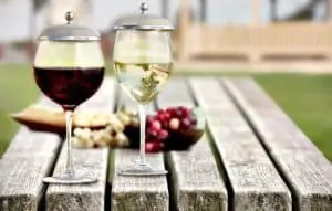 wine glass cover