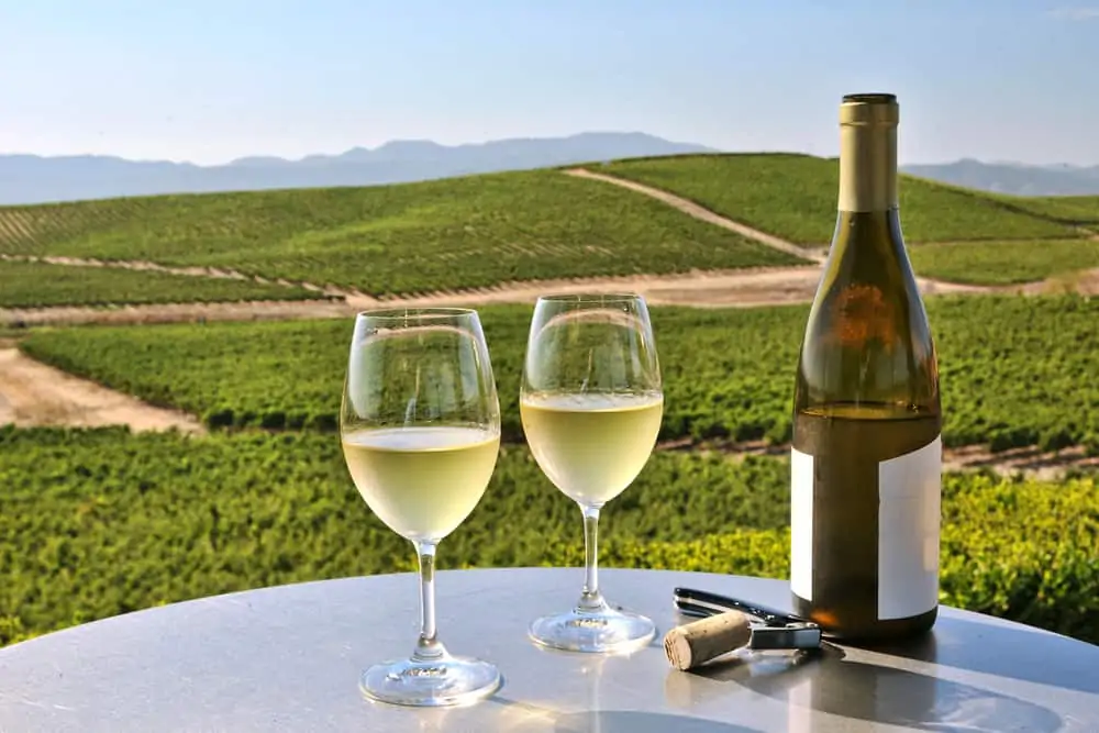 Wine Tasting Tips in Napa Valley