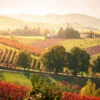 picture of the lambrusco wine region in italy