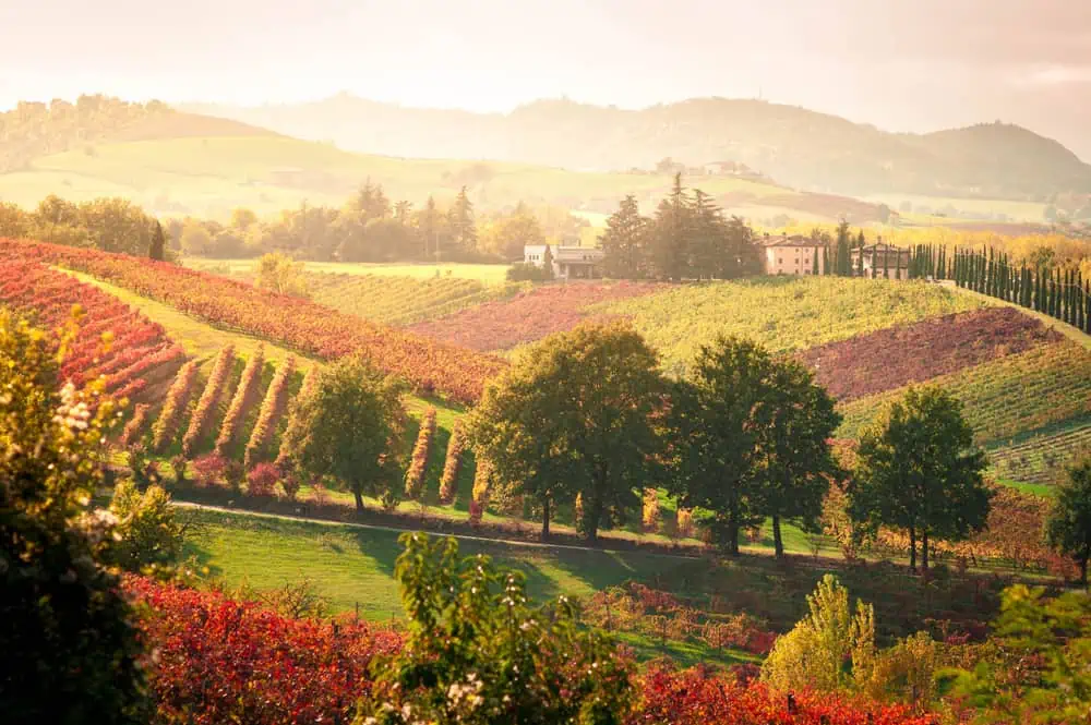 picture of the lambrusco wine region in italy