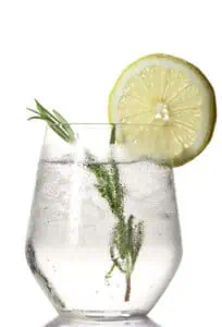 gin and tonic 